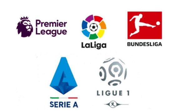 现了顽强的 现了顽强的